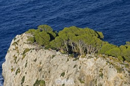 image90670