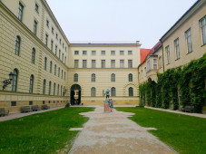 bimg 20260604