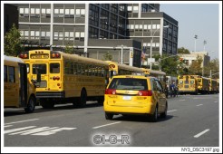 image97685