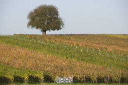 image03940