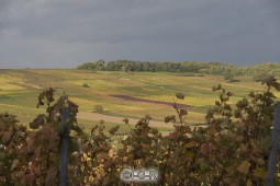 image04472
