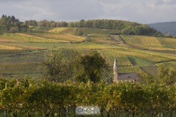 image04566