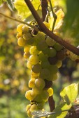 image04812