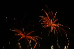 image10290