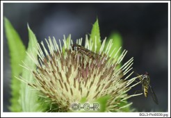 image09801