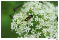 image09804