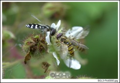 image09808