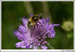 image09970