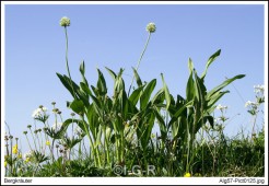 image09972
