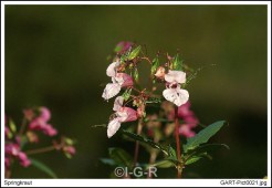 image10014