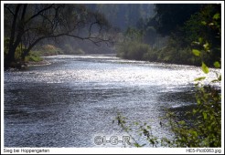 image10016