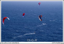 image10293