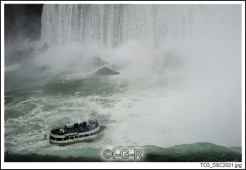 image98805