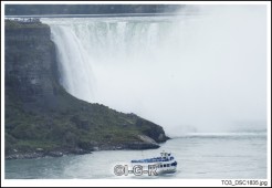 image98812