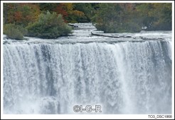image98816