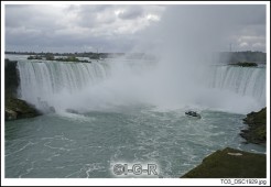 image98826