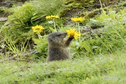 image10005