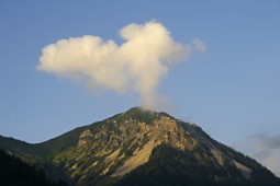 image10017