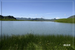 image10077
