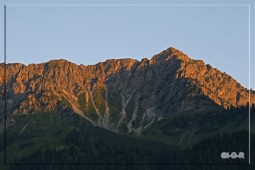 image10081