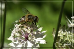image10105