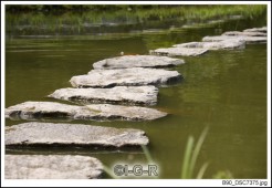 image13580