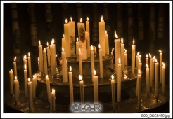 image13590