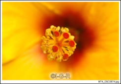 image13870