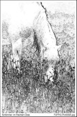 image22124