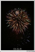 image22306
