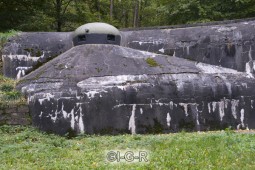 image04331