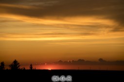 image09280