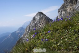 image09390