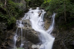 image09510