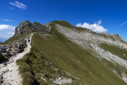 image10510
