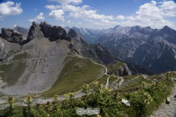 image10550