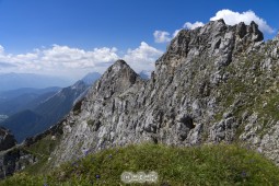 image10570