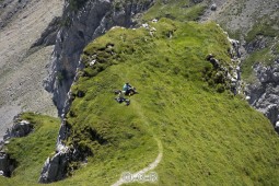 image10580