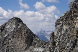 image10595