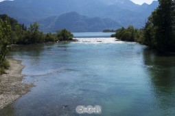 image10650