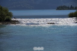 image10670