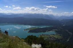 image11055